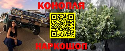 прущие крисы Пушкино