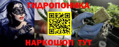 СК Пугачёв