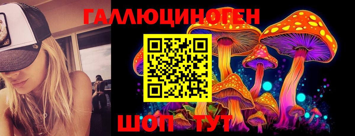 Псилоцибиновые грибы Cubensis Среднеуральск