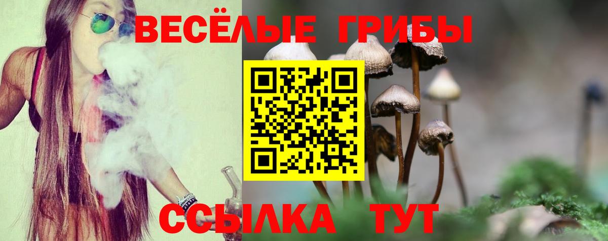Галлюциногенные грибы мухоморы  Вход с VPN  Среднеуральск 
